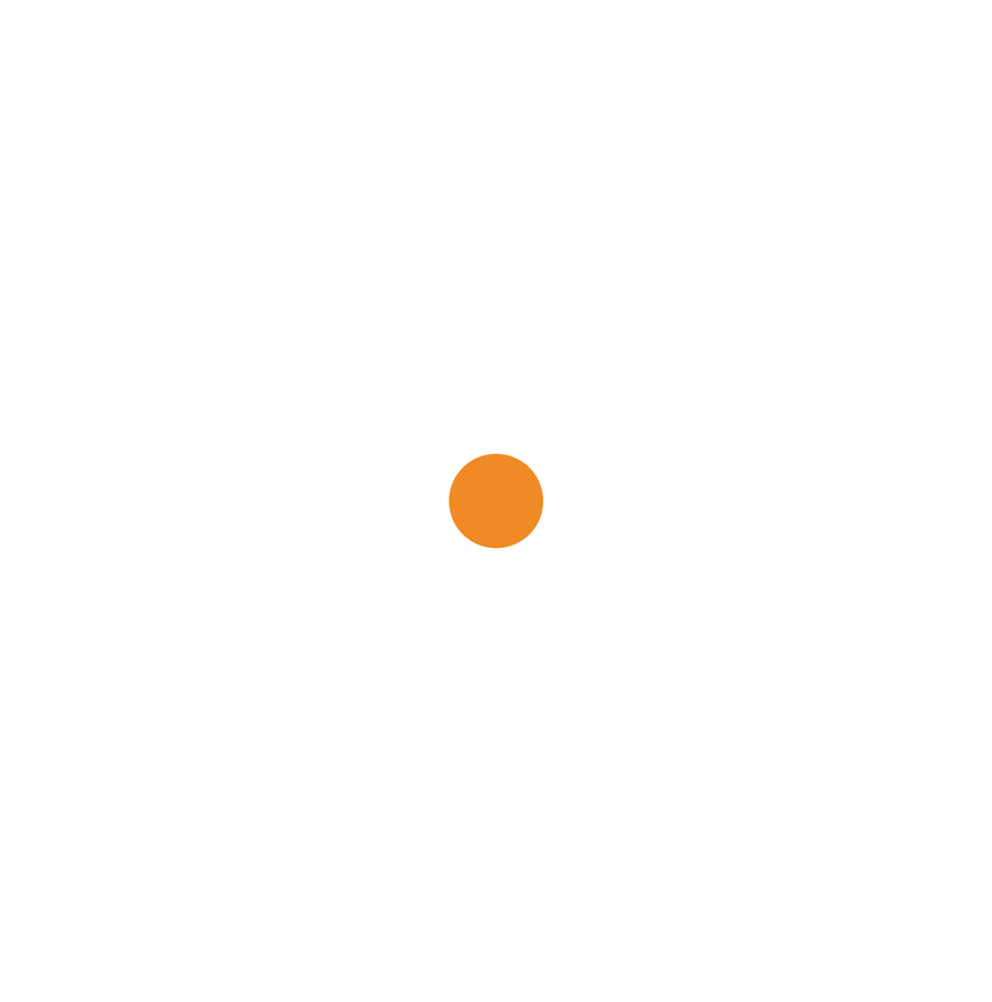SmartServo Programmers